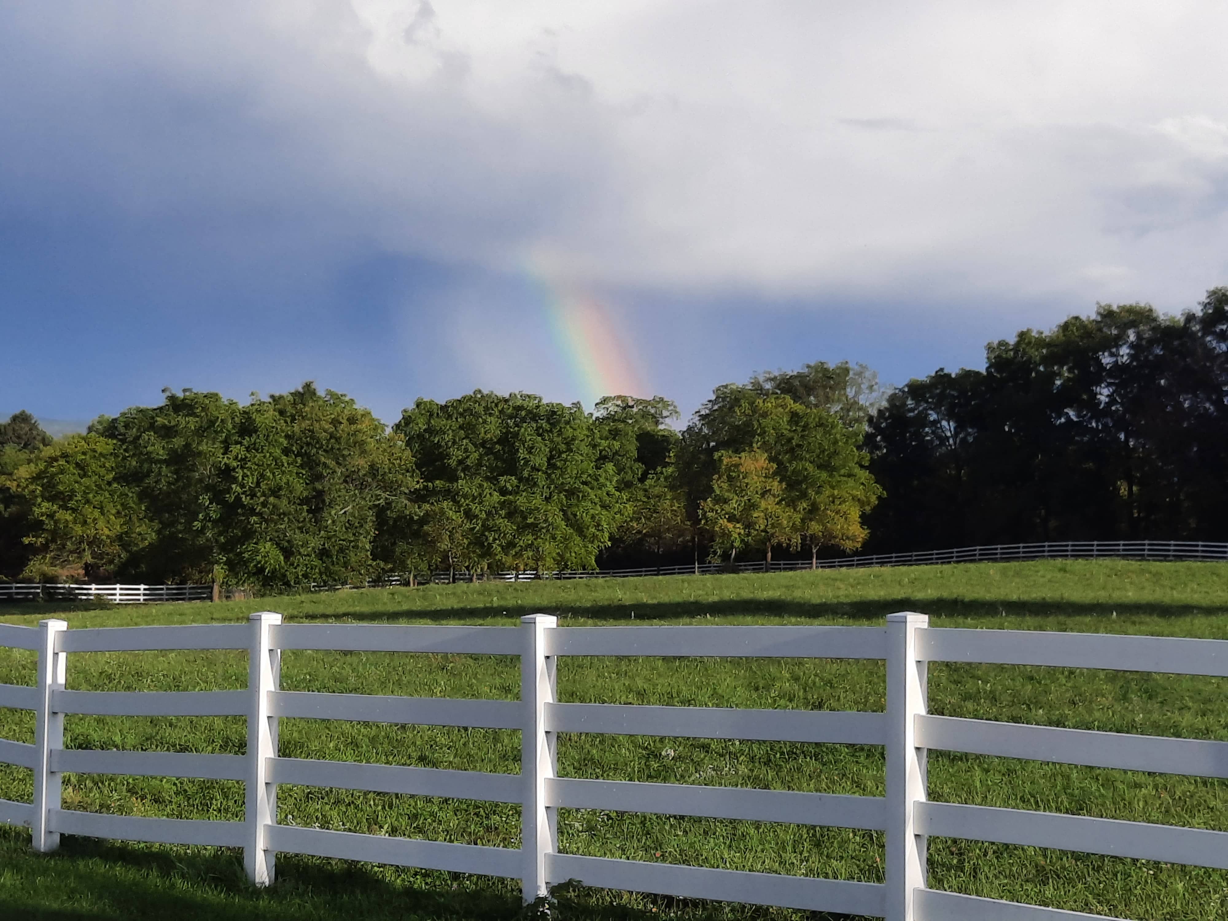 rainbow over green pasture surrounded by white fence